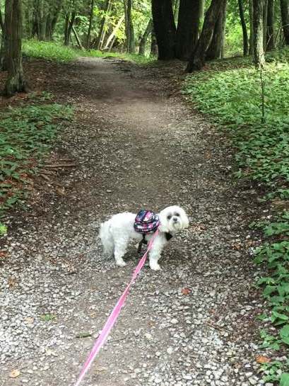 "I loved our walk so much that I immediately went a second time showing it to Tessa!"